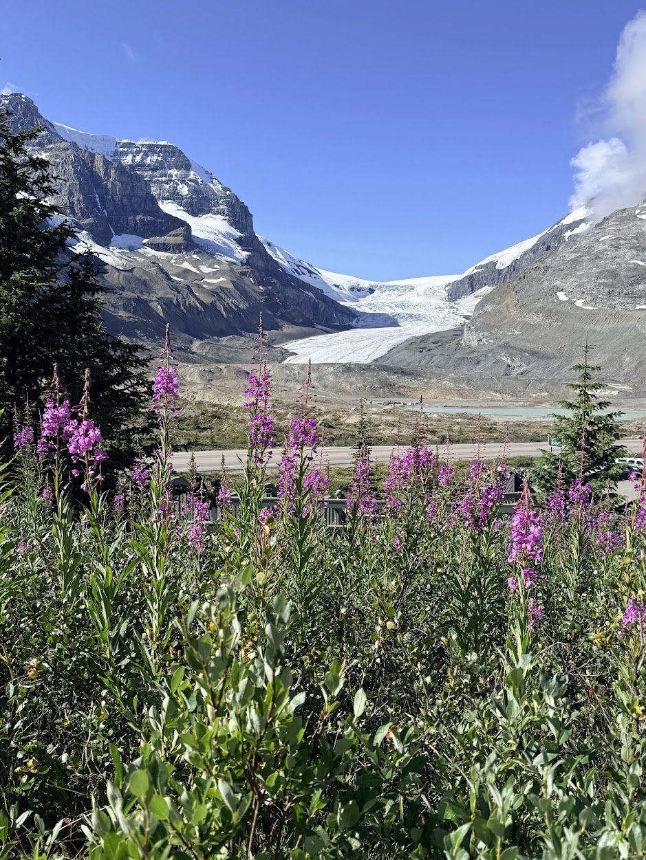 Driving the Icefields Parkway: Mountains, Glaciers & the Ice